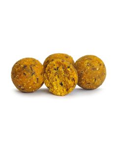 Euro Boilies 16mm/1kg Maize