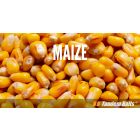 Carp Food Prepared Maize 10kg Vanilla & Cream